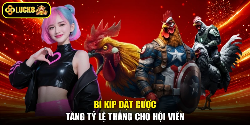 Bí kíp đặt cược tăng tỷ lệ thắng cho hội viên