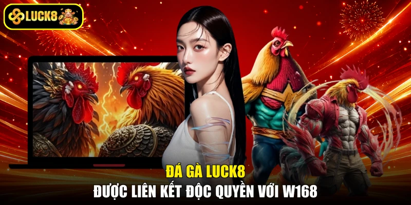 Đá gà LUCK8 được liên kết độc quyền với W168