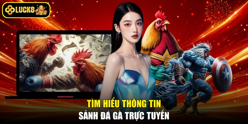 Tìm hiểu thông tin sảnh đá gà trực tuyến